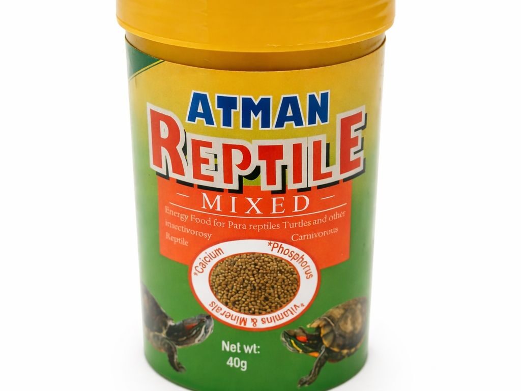 أكل سلاحف